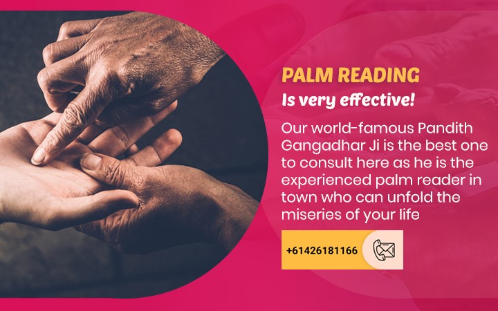 Palm Reading Specialist
